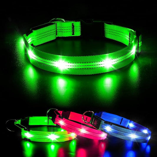 BSEEN Light Up Dog Collar - Glowing LED Dog Collar, Reflective Dog Collar, Adjustable Lighted Dog Collar, Rechargeable Puppy Collar for Night Walking (Green-II, Small)