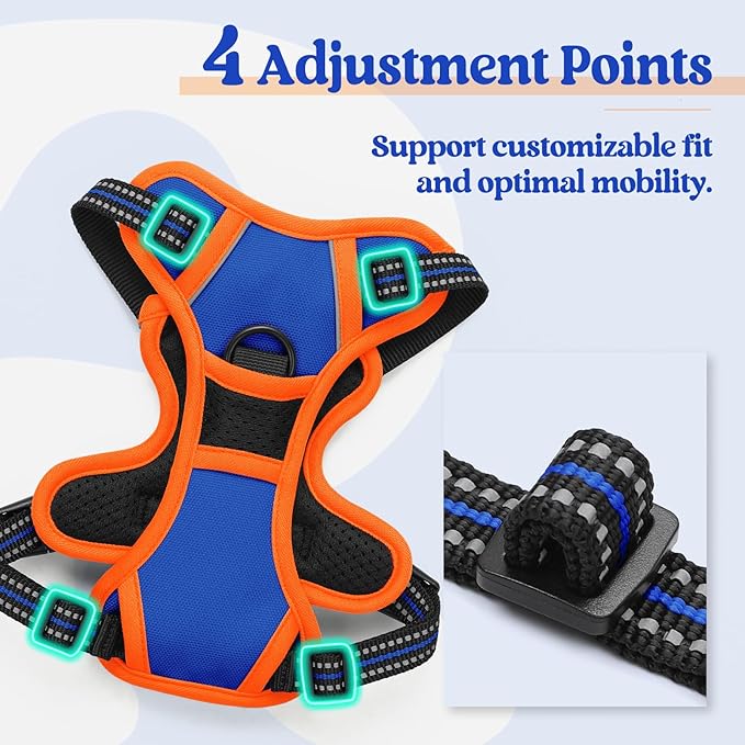 rabbitgoo Dog Harness, No-Pull Pet Harness with 2 Leash Clips, Adjustable Soft Padded Dog Vest, Reflective No-Choke Pet Oxford Vest with Easy Control Handle for Large Dogs, Blue & Orange, XS