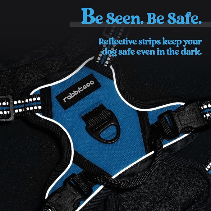 rabbitgoo Dog Harness, No-Pull Pet Harness with 2 Leash Clips, Adjustable Soft Padded Dog Vest, Reflective No-Choke Pet Oxford Vest with Easy Control Handle for Small Dogs, Blue, XS