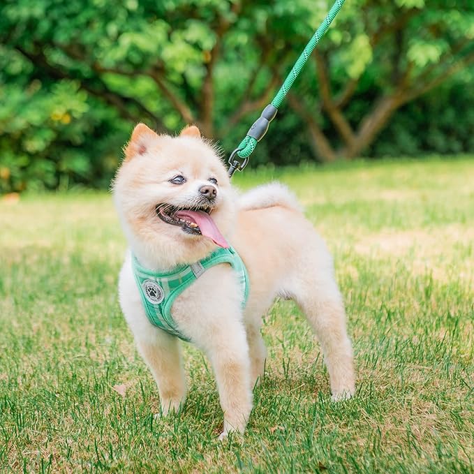 BEAUTYZOO Small Dog Harness and Leash Set,Step in No Chock No Pull Soft Mesh Dog Harnesses Reflective for Extra-Small/Small Medium Puppy Dogs and Cats, Plaid Dog Vest Harness for XS S Pets, Teal XS