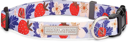 Lucky Love Dog Collars, Strawberry Cute Girl Dog Collar, X-Small Dog Collars for Females, Part of Purchase Donated to Rescue (Extra Small, Sweet Berry, Collar)