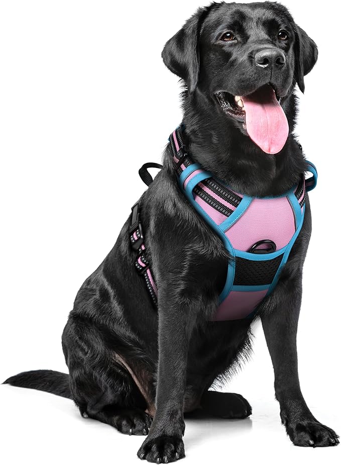 rabbitgoo Dog Harness, No-Pull Pet Harness with 2 Leash Clips, Adjustable Soft Padded Dog Vest, Reflective No-Choke Pet Oxford Vest with Easy Control Handle for Large Dogs, Pink & Blue, XL