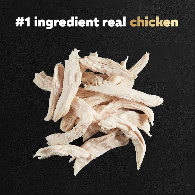 Cesar Filets in Gravy Wet Dog Food Rotisserie Chicken Flavor, 1.76 oz. Mini-Pouch, 20 Pack