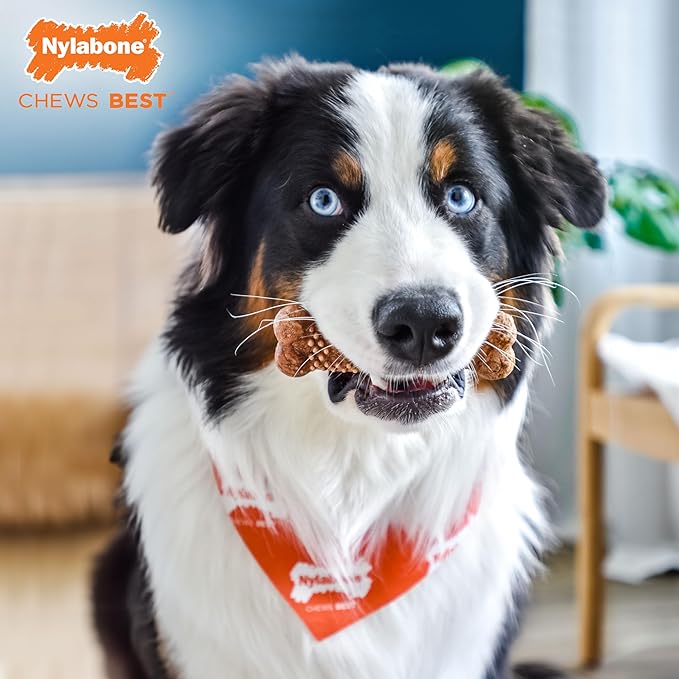 Nylabone Healthy Edibles Natural Dog Chews Long Lasting Meaty Center Beef Flavor Treats for Dogs, Medium (2 Count)