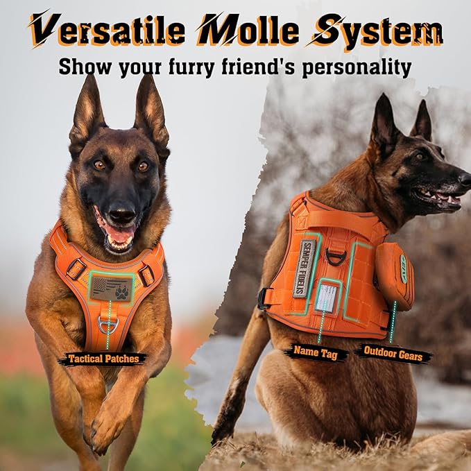 rabbitgoo Dog Harness for Large Dogs No Pull, Tactical Service Dog Vest with Molle and Control Handle, Adjustable and Reflective Military Pet Harness for Easy Walking and Training, Orange, XL