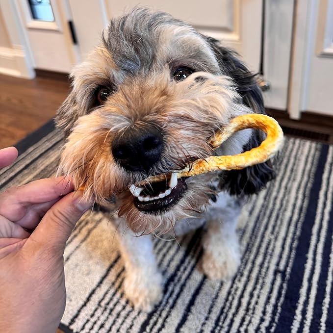 Fieldcrest Farms Nothin' to Hide Mini Holiday Candy Cane Chicken Flavor Dog Chews, Rawhide-Free, Easily Digestible, Long-Lasting, All-Natural Treats for Moderate Chewers up to 15lbs, 6-Ct