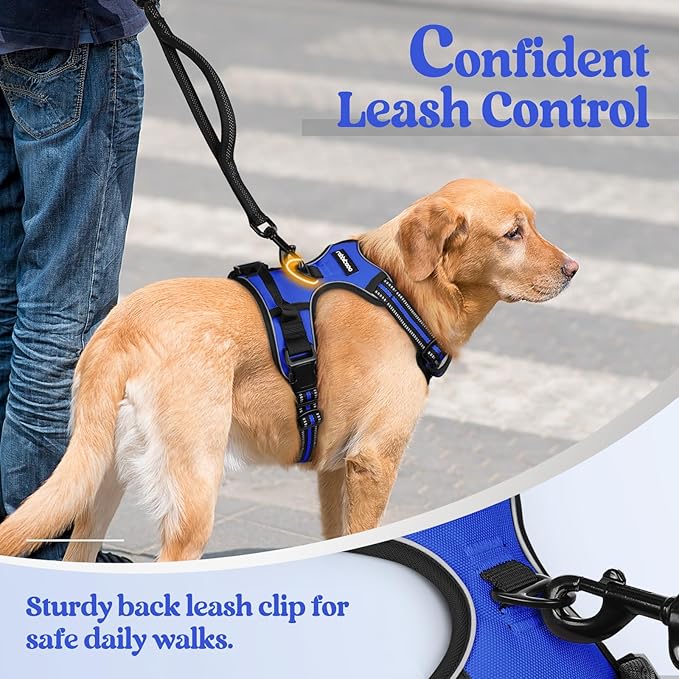 rabbitgoo Dog Harness, No-Pull Pet Harness with 2 Leash Clips, Adjustable Soft Padded Dog Vest, Reflective No-Choke Pet Oxford Vest with Easy Control Handle for Small Dogs, Dazzling Blue, M