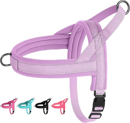 Beirui No Pull Dog Harness for Small Medium Dogs Puppies, Soft Neoprene Quick Fit Harness with Durable Front Clip & Back Clip, Lightweight Easy for Daily Walking (Purple,XS)