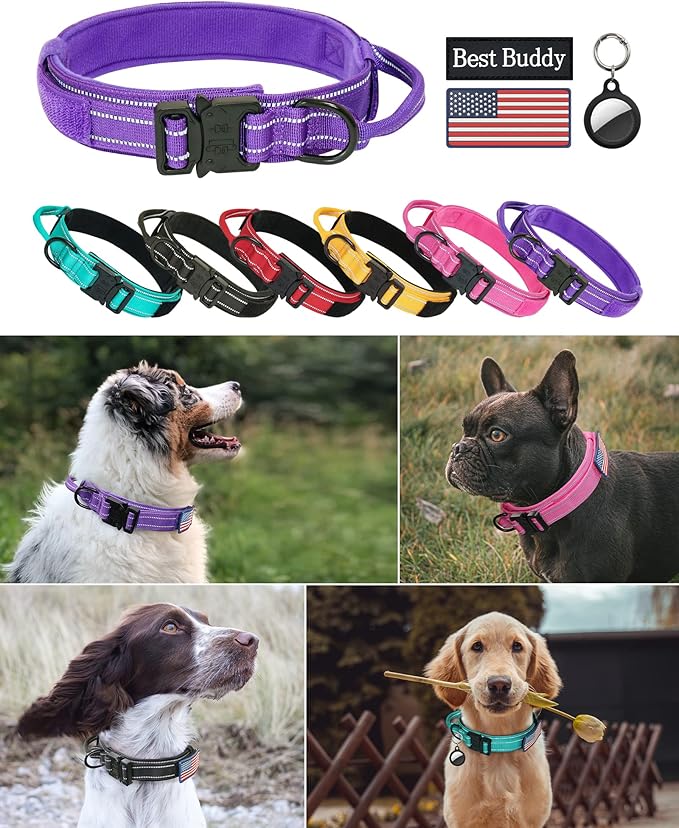 AUBELL Reflective Dog Collar, Tactical Dog Collar for Medium Dogs, Heavy Duty Dog Collar with Handle and Metal Buckle Great for Female Dogs, with Airtag Holder and 2 Patches(Purple, M)