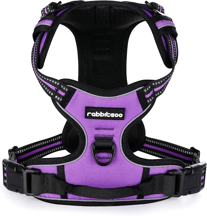 rabbitgoo Dog Harness, No-Pull Pet Harness with 2 Leash Clips, Adjustable Soft Padded Dog Vest, Reflective No-Choke Pet Oxford Vest with Easy Control Handle for Small Dogs, Purple, S