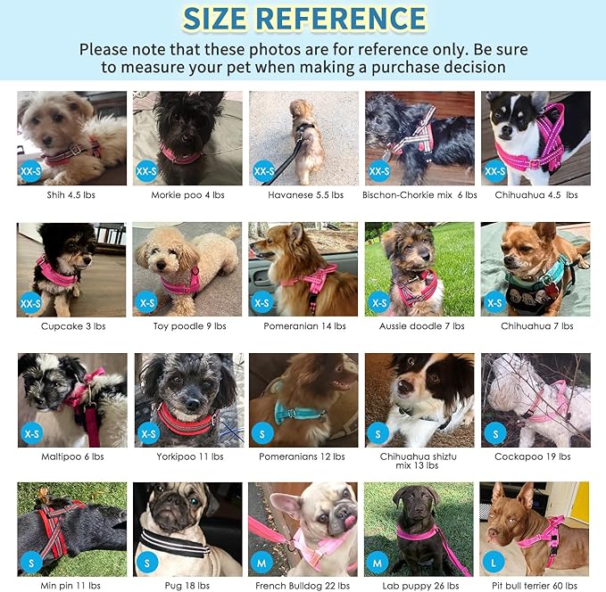 SlowTon No Pull Small Dog Harness and Leash Set, Puppy Soft Vest Harness Neck & Chest Adjustable, Reflective Lightweight Harness & Anti-Twist Pet Lead Combo for Small Medium Dogs(B,L)