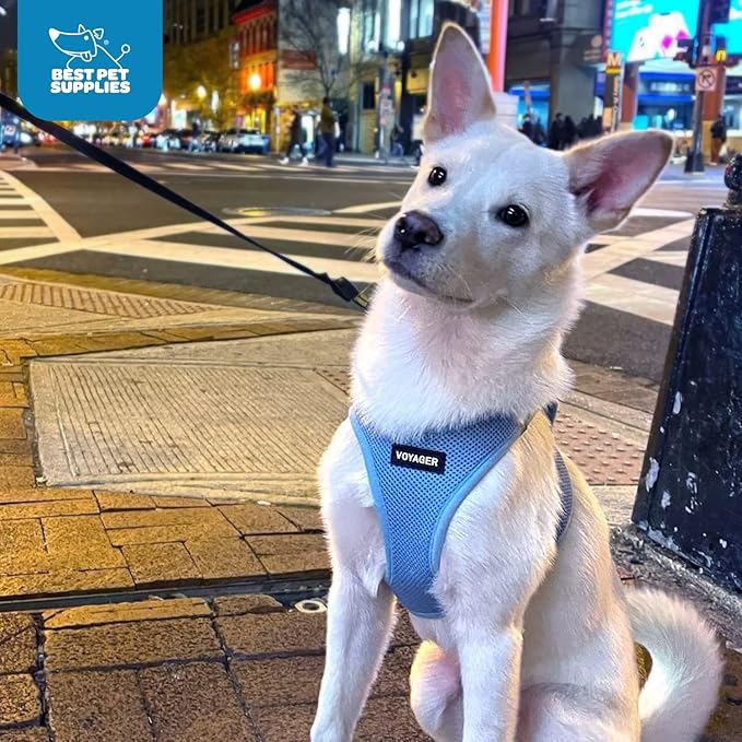 Voyager Step-in Air Dog Harness - All Weather Mesh, Reflective, No Pull Harness for Small, Medium Dogs, Cats - Secure with Hook & Loop Fastener, Buckle, Double D-Rings - Baby Blue, XL