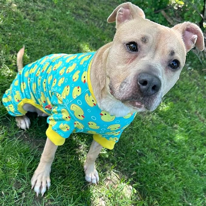 KYEESE Dog Pajamas Velvet Dog Pajamas Medium Sized Dogs Soft Dogs Clothes Pjs with Whale Pattern Stretchy Pet Jammies Coat Comfy Pet Onesie Costume, 2X-Large