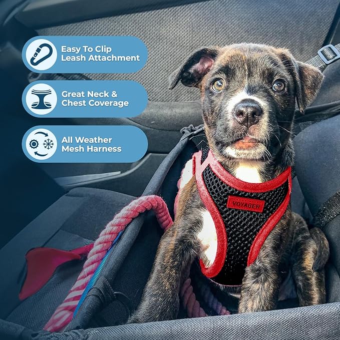 Voyager Step-in Air Dog Harness - All Weather Mesh, Reflective, No Pull Harness for Small, Medium Dogs, Cats - Secure with Hook & Loop Fastener, Buckle, Double D-Rings - Black/Red Trim, M