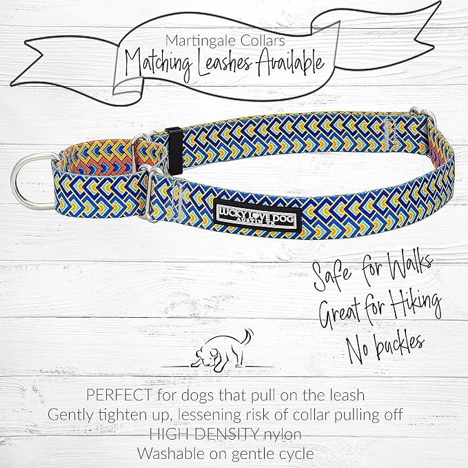 Lucky Love Dog Martingale Collar and Leash Set, Premium No Slip Collar for Male Dogs, Comfortable & Soft Martingale Dog Collars, Great for Whippets, Greyhounds, and More (Murphy, Large - Combo)