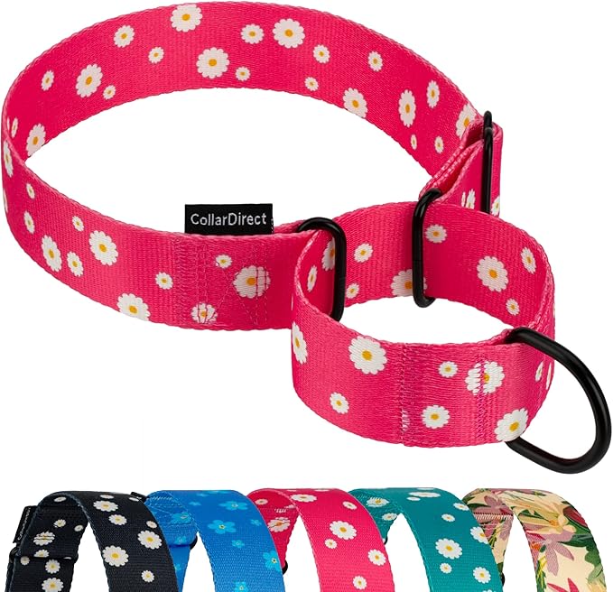 CollarDirect Martingale Collars for Dogs Heavy Duty Floral Pattern Female Safety Nylon Training Wide Collar Flower Design Large Medium (M, Neck Size 12"-17", Pink)