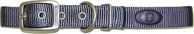 Hamilton Double Thick Nylon Deluxe Dog Collar with Brushed Hardware Finish, 1-Inch by 26-Inch, Graphite
