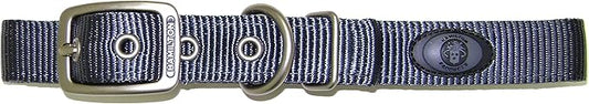 Hamilton Double Thick Nylon Deluxe Dog Collar with Brushed Hardware Finish, 1-Inch by 20-Inch, Graphite