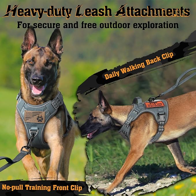 rabbitgoo Dog Harness Small Sized No Pull, Tactical Service Dog Vest with Molle and Control Handle, Adjustable and Reflective Military Pet Harness for Easy Walking and Training, Grey, S