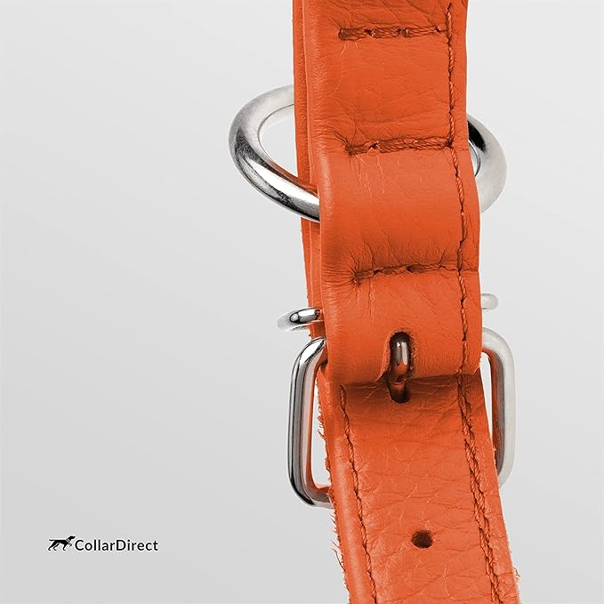 CollarDirect Rolled Leather Dog Collar, Soft Padded Round Puppy Collar, Handmade Genuine Leather Collar Dog Small Large Cat Collars 13 Colors (15-18 Inch, Orange Textured)