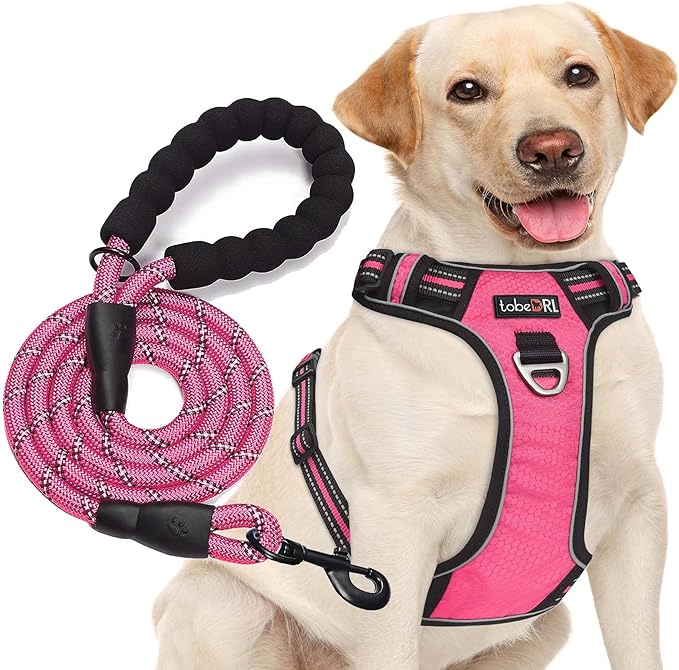 tobeDRI No Pull Dog Harness Adjustable Reflective Oxford Easy Control Medium Large Dog Harness with A Free Heavy Duty 5ft Dog Leash (XL (Neck: 21.5"-33", Chest: 30"-39.5"), Pink Harness+Leash)