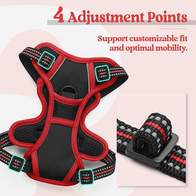 rabbitgoo Dog Harness, No-Pull Pet Harness with 2 Leash Clips, Adjustable Soft Padded Dog Vest, Reflective No-Choke Pet Oxford Vest with Easy Control Handle for Large Dogs, Black & Red, X-Small