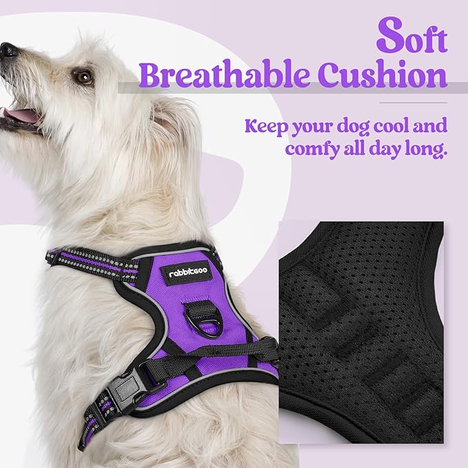 rabbitgoo Dog Harness, No-Pull Pet Harness with 2 Leash Clips, Adjustable Soft Padded Dog Vest, Reflective No-Choke Pet Oxford Vest with Easy Control Handle for Small Dogs, Purple,XS