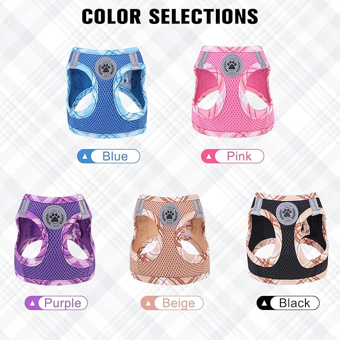 BEAUTYZOO Dog Harness and Leash Set for Small Medium Dogs,No Pull Step-in Harness for Puppy S M Sized Dogs and Cats,Air Mesh Adjustable Breathable Soft No Chock Escape Proof Vest Harnesses,Purple XXS