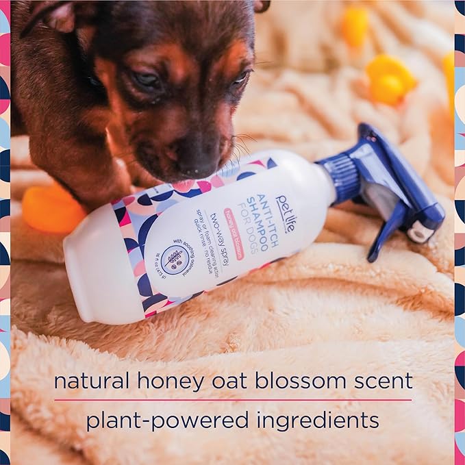 Pet Life Unlimited Dog Shampoo Itchy Skin Relief Foaming Spray, Itch Relief for Dogs - Plant-Based Honey Oat Blossom Scented Dog Itching Skin Relief Spray Shampoo - Made in USA - 16 Ounce (Pack of 2)