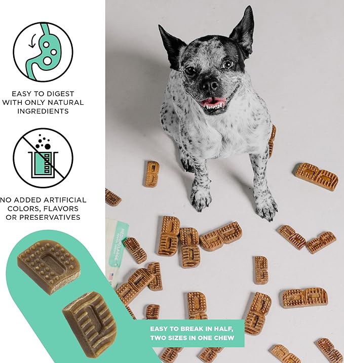 BIXBI Natural Dog Dental Care Chews Oral Health Dog Treats, for Medium/Large Size Dogs, 15 Treat Pack