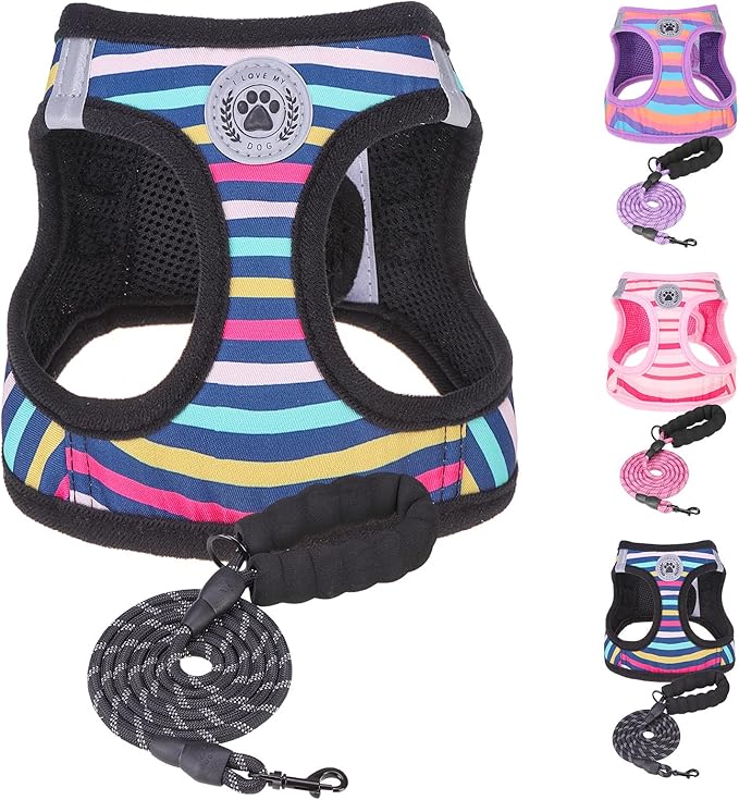 BEAUTYZOO Dog Harness and Leash Set for Small Dogs,No Pull Step-in Harness for Puppy XS S Sized Dogs and Cats,Air Mesh Adjustable Breathable Soft No Chock Escape Proof Vest Harnesses,Striped Teal XXS