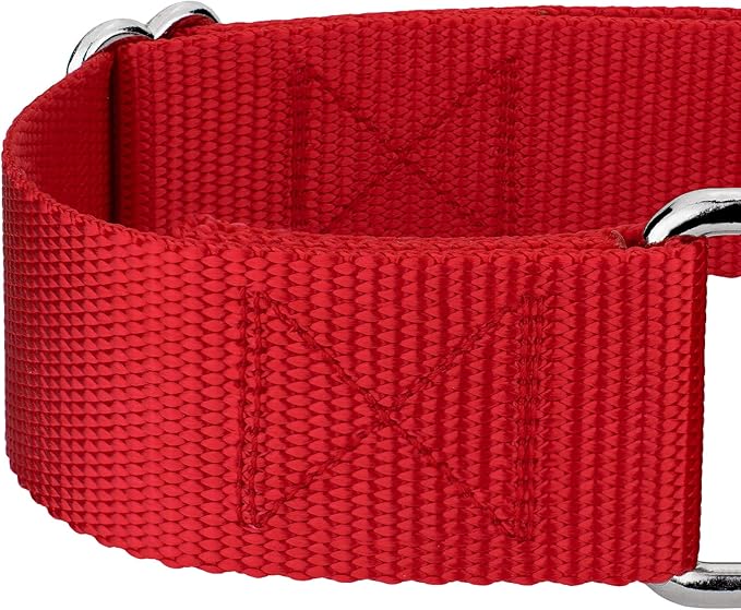 Country Brook Petz 1 1/2 Inch Martingale Heavy Duty Nylon Adjustable Dog Collar for Small, Medium, Large Breeds - Vibrant 17 Color Selection (Red, Large)