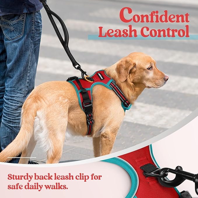 rabbitgoo Dog Harness, No-Pull Pet Harness with 2 Leash Clips, Adjustable Soft Padded Dog Vest, Reflective No-Choke Pet Oxford Vest with Easy Control Handle for Large Dogs, Red & Teal, S