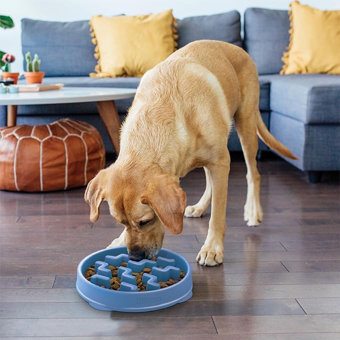 Outward Hound Fun Feeder Slo Bowl, Large Slow Feeder Dog Bowl, 4 Cups, Blue