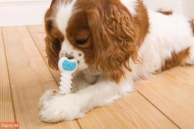 Hartz Chew ‘n Clean Twisty Bone Dog Chew Toy, Bacon Scented for Moderate Chewers, Extra Small (Pack of 2)