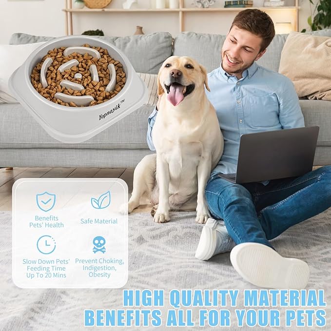 Slow Feeder Dog Bowls for Healthy Eating, Non-Slip and Anti-Choking Design, Reduces Bloating & Overeating for Large Dogs, Easy to Clean