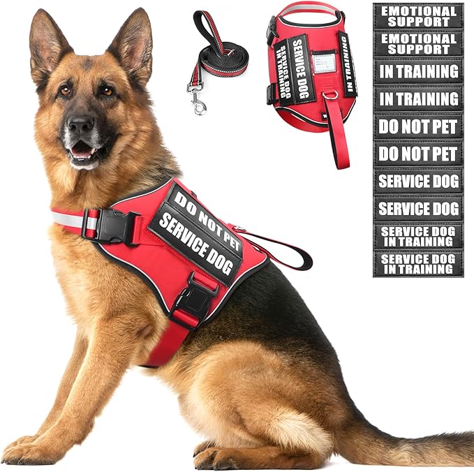 Service Dog Harness and Leash Set, Training Dog Vest with 10 Dog Patches, Emotional Support Therapy Dog Vest Harness for Small Medium Large and Extra Large Dogs(Red, XL)