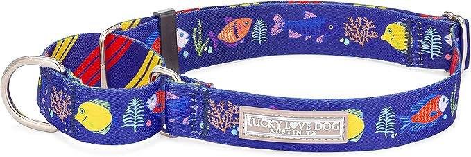 Lucky Love Dog Martingale Collar, Blue Color No Slip Collars for Medium Dogs, Tropical Fish Pattern Martingale Dog Collar, Great for Whippets, Greyhounds, and More (Mackey, Medium)