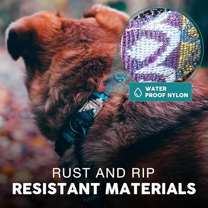 Embark Urban Dog Collar – Dog Collar Stylish & Durable Nylon Dog Collar for Large Dogs, Small Dogs & Medium Dogs.Comfortable Pet Collar Strong Buckles for Any Size Breed (Azure, Large)