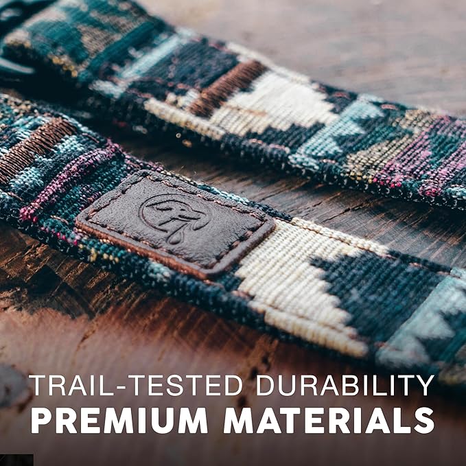 Embark Urban Dog Collar – Dog Collar Stylish & Durable Nylon Dog Collar for Large Dogs, Small Dogs & Medium Dogs.Comfortable Pet Collar Strong Buckles for Any Size Breed (Azure, Large)