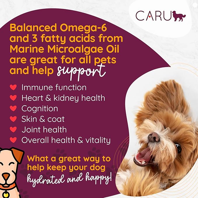 Caru Real Beef Stew for Dogs, Natural Adult Wet Dog Food with Added Vitamins & Minerals, Free From Grain, Wheat & Gluten (Pack of 12)