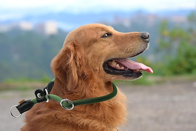 Braided Rope Collar, Training Dog Collar, Round Martingale Collar, Slip Collar with Adjustable Stopper and Slidable Stop Ring - Ideal for Large Dogs (L(1/2") - 20" Long, Dark Green)