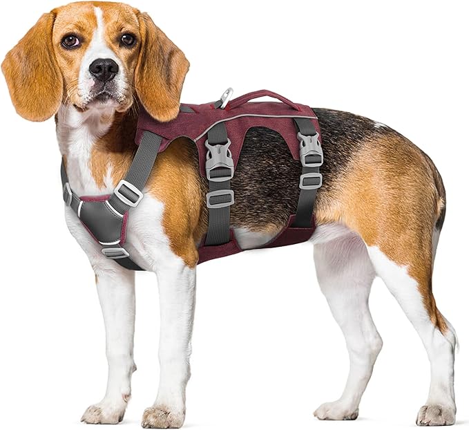 Dog Harness Medium Sized Dog Escape Proof Dog Harness with Handle, Reflective Dog Vest, Breathable Soft Full Body Pet Harness for Walking, Training (Red, M)