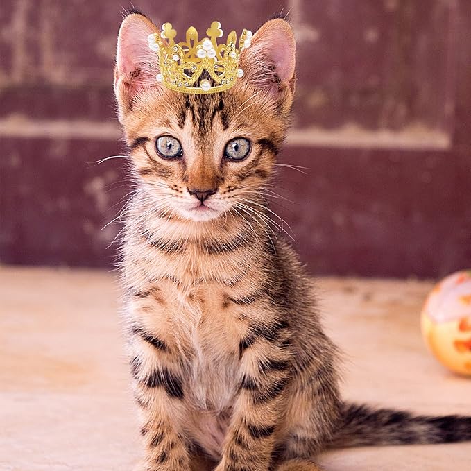 PET SHOW 2pcs Small Dog Crown Headband Puppies Rabbit Cat Hat for Birthday Party Silver Gold Rhinestone Faux Pearl Crown for Boy Girl Wedding Hair Accessories Photo Prop Costume