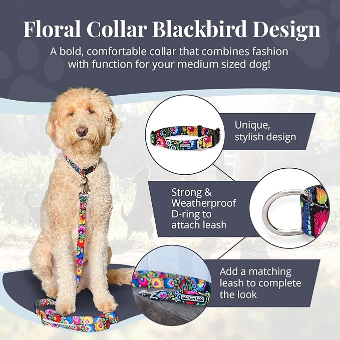 Lucky Love Dog - Adjustable Dog Collar with Easy Click Buckle for Small to Large Dogs, Durable, & Comfortable Collar for Male & Female Dogs, Pet Collar for Puppies & Adult Dogs - Blackbird, Medium