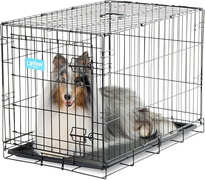 Carlson Pet Products Secure and Foldable Single Door Metal Dog Crate, Medium,Black