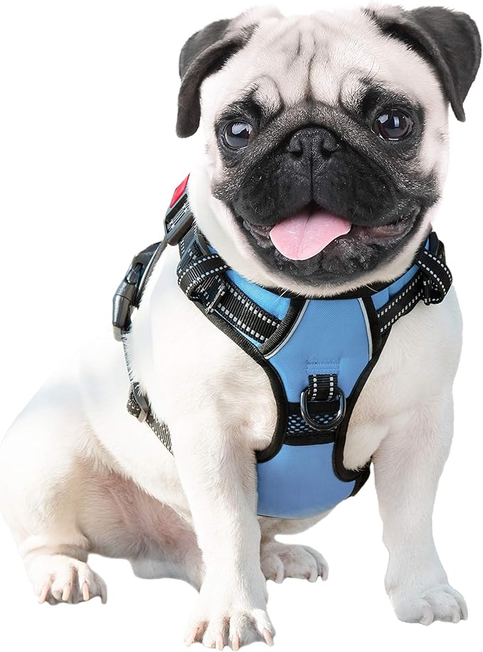 PHOEPET No Pull Dog Harness Reflective Adjustable Vest with a Training Handle, Name ID Pocket, 2 Metal Leash Hooks, 3 Snap Buckles [Easy to Put on & Take Off](M, Baby Blue)