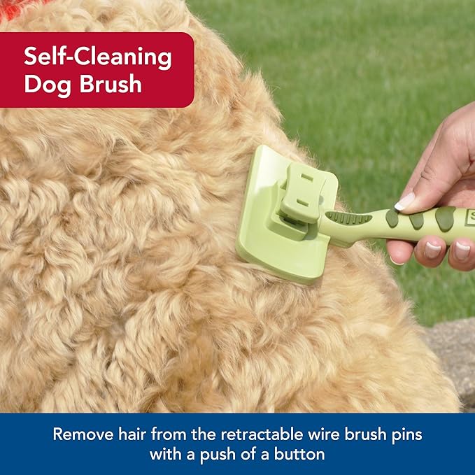 Coastal Pet Safari Dog Self-Cleaning Slicker Brush - Dog Deshedding Brush - Prevents Mats and Tangled Hair - For Dogs with Short or Long Hair - Medium - 4.25" x 4.06"