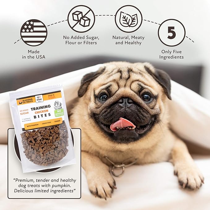 Hank & Harley Training Bites, Chicken 1lb - USA Lean Protein Soft Dog Treats with Pumpkin. 100% Natural & NO Flour, fillers or Added Sugar. Ideal for finicky Pets