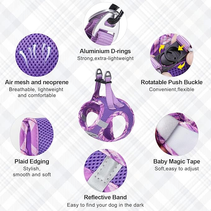 BEAUTYZOO Dog Harness and Leash Set for Small Medium Dogs,No Pull Step-in Harness for Puppy S M Sized Dogs and Cats,Air Mesh Adjustable Breathable Soft No Chock Escape Proof Vest Harnesses,Purple XXS